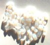 50 10mm Milky White Opal Angel Wing Beads